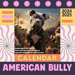 American bully calendar for sale  Delivered anywhere in UK