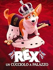 Rex cucciolo a usato  Spedito ovunque in Italia 