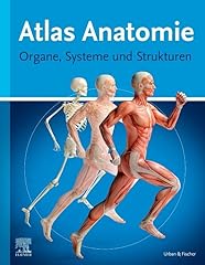 Atlas anatomie laien gebraucht kaufen  Wird an jeden Ort in Deutschland