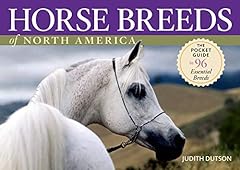 Horse breeds north for sale  Delivered anywhere in USA 