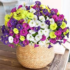 Weldomcor lot fleurs d'occasion  Livré partout en France