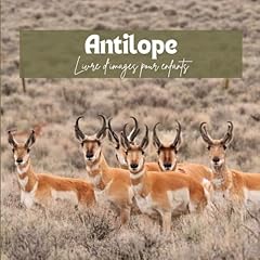 Antilope livre images d'occasion  Livré partout en France