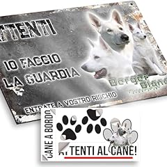 Attenti cane pastore usato  Spedito ovunque in Italia 