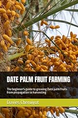 Date palm fruit for sale  Delivered anywhere in USA 