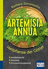 Artemisia annua heilpflanze gebraucht kaufen  Wird an jeden Ort in Deutschland