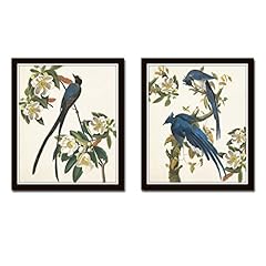 Blue birds print for sale  Delivered anywhere in USA 