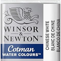 Winsor newton 301696 usato  Spedito ovunque in Italia 