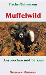 Muffelwild ansprechen bejagen gebraucht kaufen  Wird an jeden Ort in Deutschland