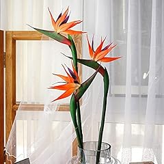 Xiyuan 4pieces bird for sale  Delivered anywhere in USA 