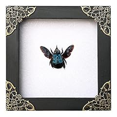 Real framed blue for sale  Delivered anywhere in UK