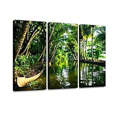 Backwaters kerala print for sale  Delivered anywhere in USA 