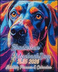Rhodesian ridgeback dog for sale  Delivered anywhere in UK