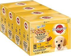 Pedigree junior cibo usato  Spedito ovunque in Italia 