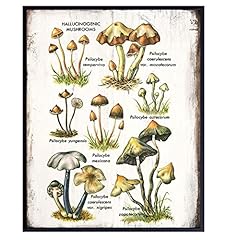 Psychedelic hallucinogenic med for sale  Delivered anywhere in USA 