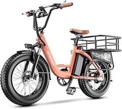 Cargo ebike rear for sale  Delivered anywhere in USA 