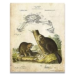 Beaver trap vintage for sale  Delivered anywhere in USA 