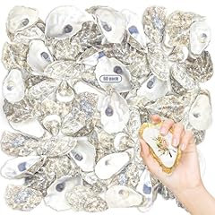 Stonechic 60pcs oyster for sale  Delivered anywhere in USA 