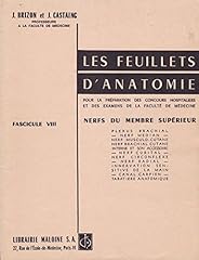 Nerfs membre supérieur d'occasion  Livré partout en France