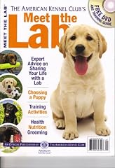 Meet lab for sale  Delivered anywhere in USA 