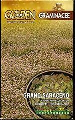 Franchi grano saraceno usato  Spedito ovunque in Italia 