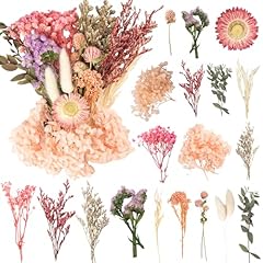 Laumoe trockenblumen set gebraucht kaufen  Wird an jeden Ort in Deutschland