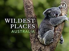Wildest places for sale  Delivered anywhere in USA 