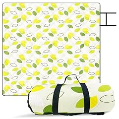 Kyzuzia 200x200cmpicknickdecke gebraucht kaufen  Wird an jeden Ort in Deutschland