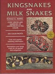 Kingsnakes milk snakes for sale  Delivered anywhere in USA 
