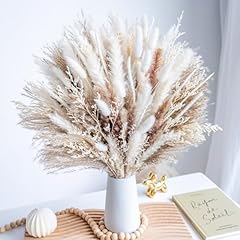 96pcs natural dried for sale  Delivered anywhere in USA 