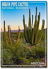 Organ pipe cactus for sale  Delivered anywhere in USA 