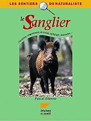 Sanglier d'occasion  Livré partout en Belgiqu