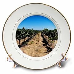 Inch porcelain plate for sale  Delivered anywhere in USA 