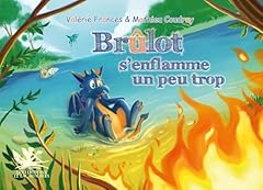 Brûlot enflamme d'occasion  Livré partout en France