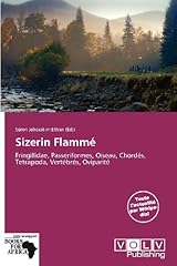 Sizerin flamm d'occasion  Livré partout en France