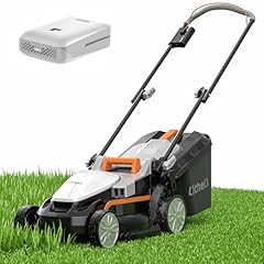 Litheli electric lawn for sale  Delivered anywhere in USA 