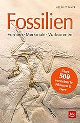 Fossilien formen merkmale gebraucht kaufen  Wird an jeden Ort in Deutschland