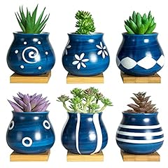 Cute succulent pots for sale  Delivered anywhere in USA 
