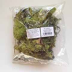 Scenic lichen bulk for sale  Delivered anywhere in Ireland
