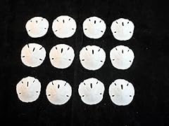 Set small white for sale  Delivered anywhere in USA 