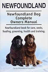 Newfoundland. newfoundland dog for sale  Delivered anywhere in UK