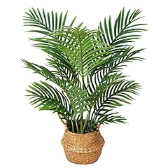 Kazeila palmier artificiel d'occasion  Livré partout en France