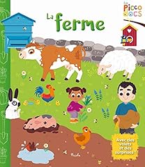 Ferme volets surprises d'occasion  Livré partout en France