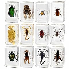 Pcs insect resin for sale  Delivered anywhere in USA 