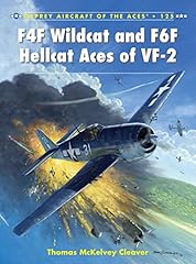 F4f wildcat and usato  Spedito ovunque in Italia 