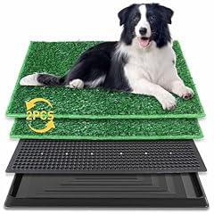 Brian dany dog for sale  Delivered anywhere in UK