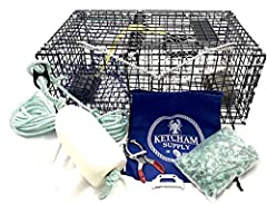 Ketcham supply lobster for sale  Delivered anywhere in USA 