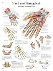Scientific lehrtafel hand gebraucht kaufen  Wird an jeden Ort in Deutschland