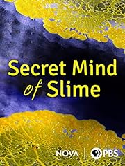 Secret mind slime for sale  Delivered anywhere in USA 