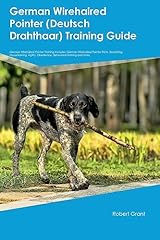 German wirehaired pointer for sale  Delivered anywhere in USA 