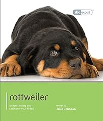 Rottweiler for sale  Delivered anywhere in UK